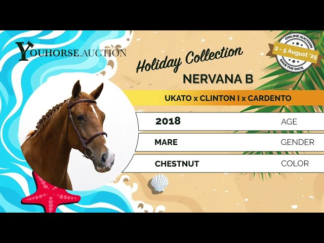 Nervana B