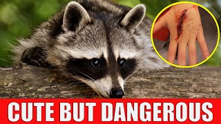 10 Cute But Dangerous Animals