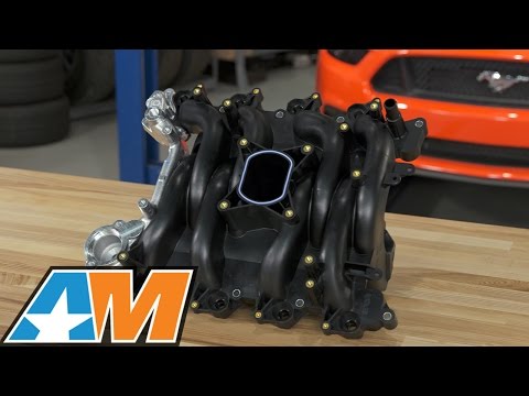 1996-2004 Mustang Ford Racing Performance Improvement Intake Manifold (GT w/ PI Heads) Review