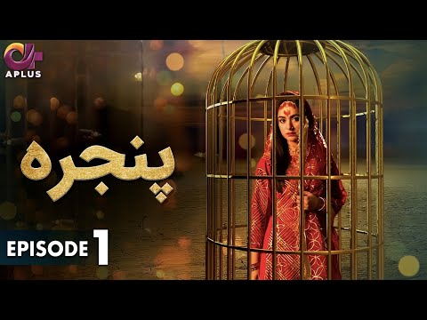 Pakistani Drama | Pinjra - Episode 1 | Aplus Gold | Yumna Zaidi, Nauman Aijaz | CZ2O