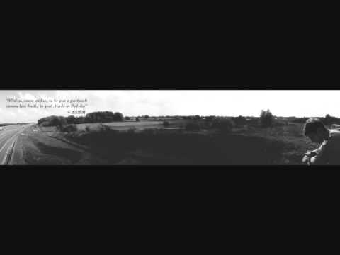 LSDR - Made in Polska