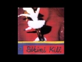 Bikini Kill New Radio