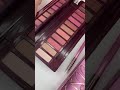 Urban Decay Naked Cherry Eyeshadow Palette (original)