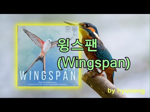 [현옹] 윙스팬! 룰 설명