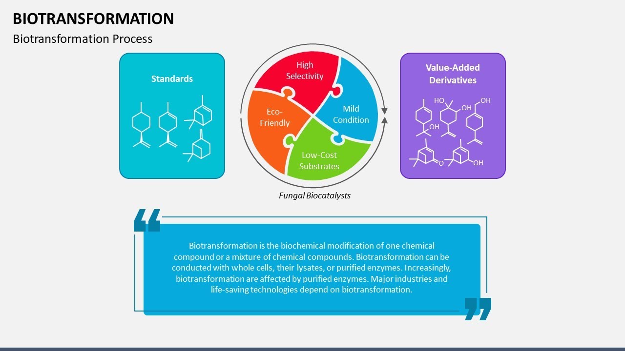 Biotransformation Animated PowerPoint Template