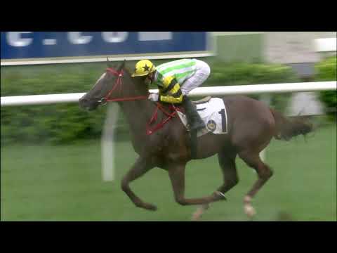 26/6/2021 (778) Blaze Warrior - J Moreira