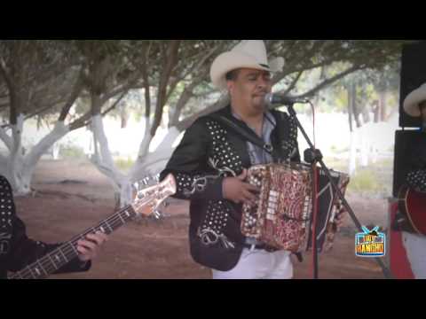 Los Alameños De La Sierra - El Burrero Culon (En Vivo)