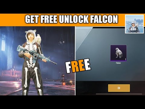 How To Unlock Falcon Pubg Mobile !! Get Free To Unlock Falcon Companion In Pubg Mobile Video