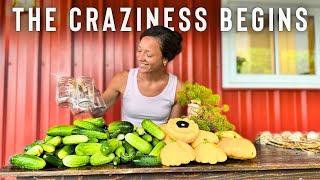 Easy Recipes for PICKLES and RELISH (BIG Canning Day!)