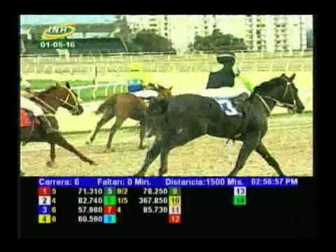 Resumen Domingo, 01 de Mayo de 2016 - La Rinconada