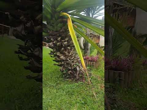 Vamos continuar 🥰 MG #turismo                              #santaritadejacutinga