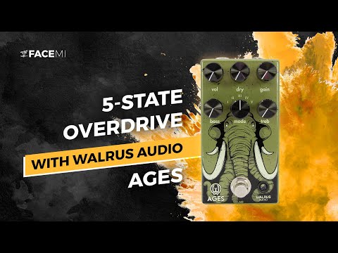 Walrus Audio Ages Overdrive Black image 5