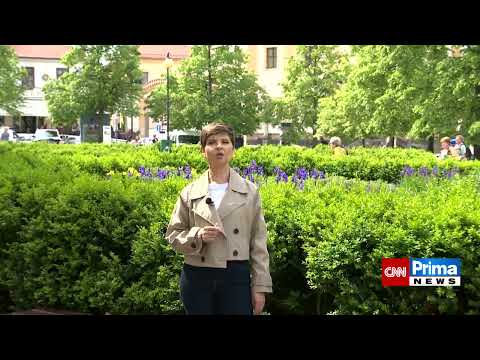 Prima města – Benešov