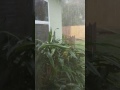 A December Thunderstorm