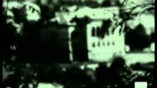 Бои под Выборгом. Немецкая хроника