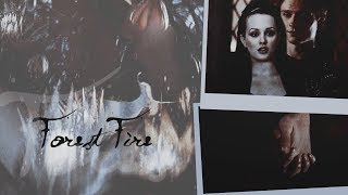 ● the tragedy of lucius malfoy.