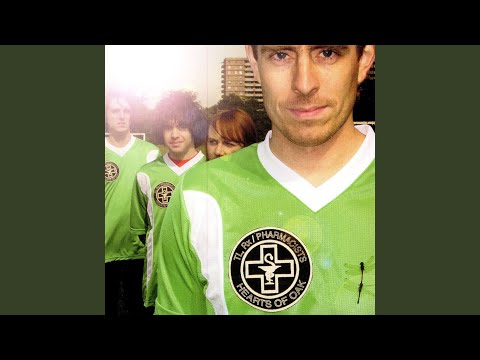 The Crane Takes Flight - Ted Leo And The Pharmacists