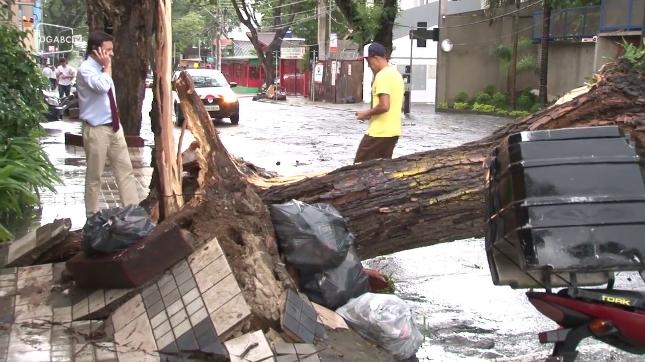 Chuva forte derruba árvores na região; veja vídeo