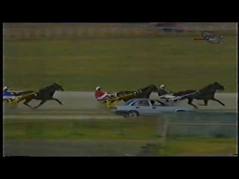 ALLYHILLS HICO "Pehar hipodroma Beograd" 2200m- Beograd 1998