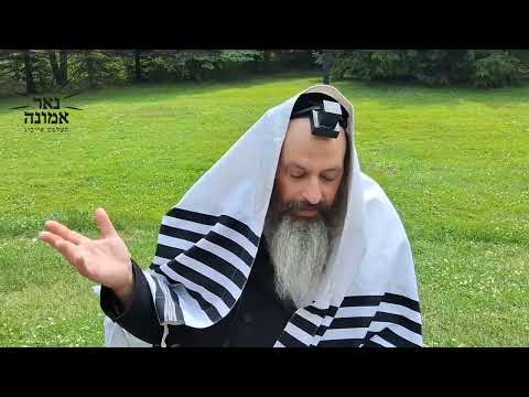 מיט מיין תפילה, מיט מיינע אייגענע ווערטער, קען איך אלעס אויספועלן!!! | הרב מענדל ווייס