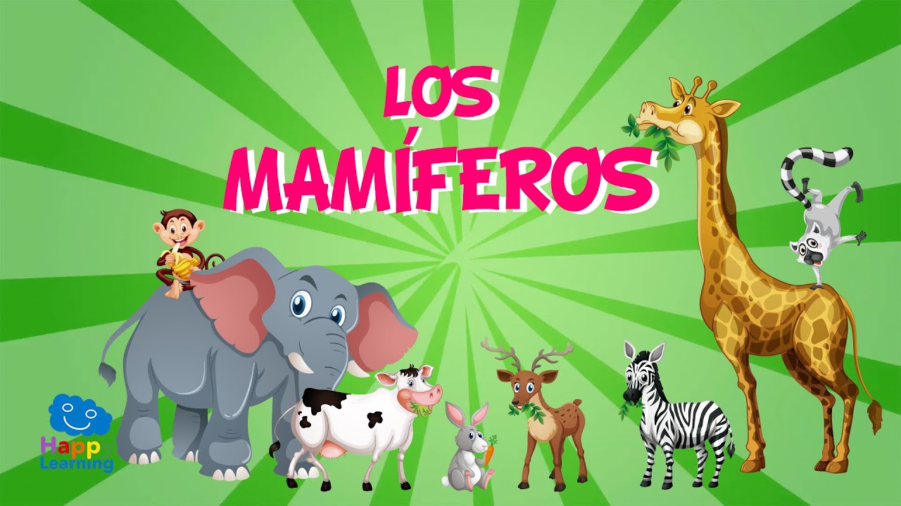Los Mamíferos | Videos Educativos para Niños