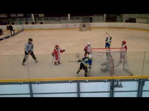 20170319 HC Slavia - Kobra A Minihokej 2008