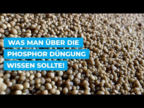 Was man über die Phosphor Düngung wissen sollte!