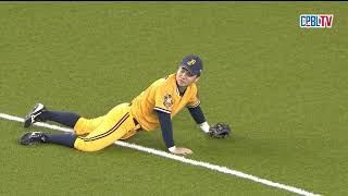 [分享] 象騎士要跟裁判擊拳XD 