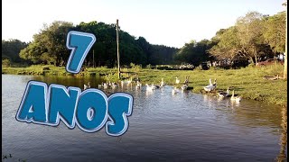 7 ANOS DE CANAL