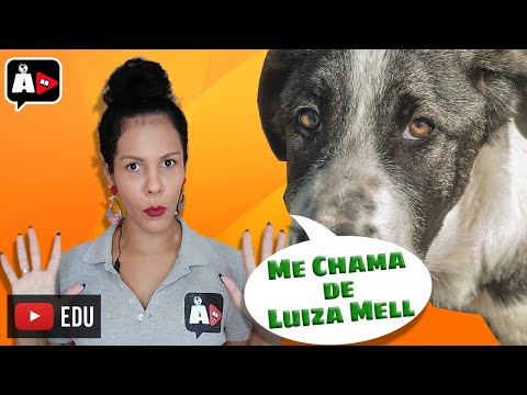 Maus-tratos e Abandono de Animais | ReDacionando