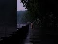 Zindagi Ke Safar Me Status Video Old Bollywood
