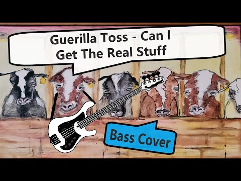 Guerilla Toss - Can I Get The Real Stuff | Bass Cover