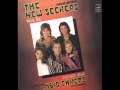The New Seekers - Runaway (1982)