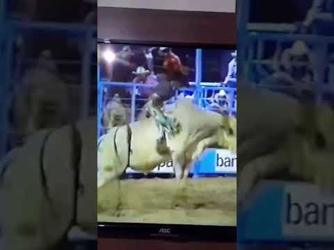 montarias antigas mineiros do Tietê Paulo Teixeira do Amaral português