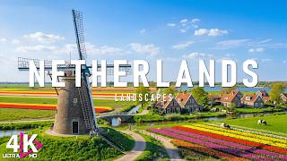 Netherlands 4K - Tulip Fields, Quiet Villages & Gentle European Light with Piano | No Lyrics