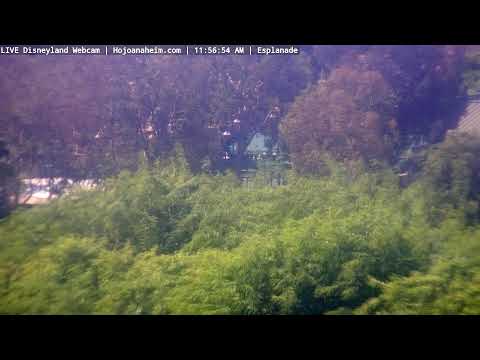 Live webcam of Disneyland Cam