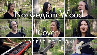 Norwegian wood - Beatles cover - Forest edition