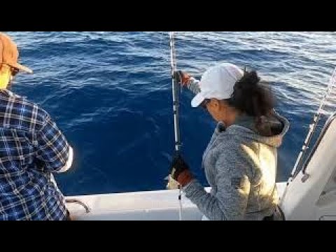 1770 - Killing the Pig - OnBoard Muffdiver