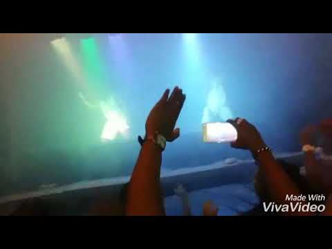 Dandy blessing -Live🎧🎤🎼🎶