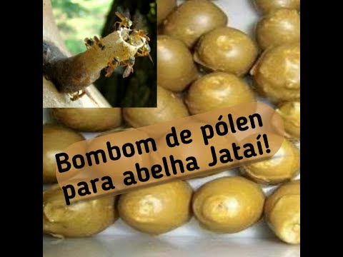 , title : 'Bombom de pólen (cappas) para abelha jataí'