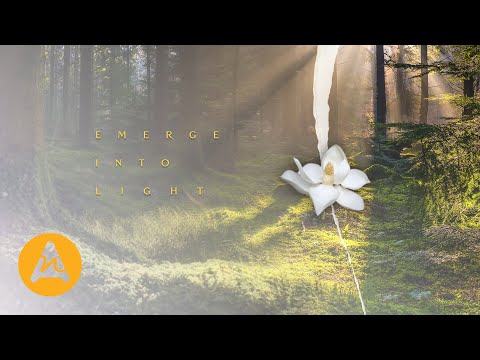 Emerge Into Light | Chris Bussey & Craig Bussey