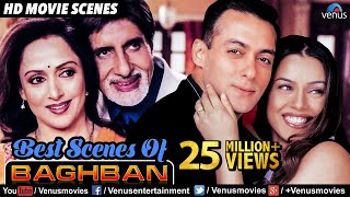 Best Scenes Of Baghban | Hindi Movies | Best Bollywood Movie Scenes | Amitabh Bachchan Movies