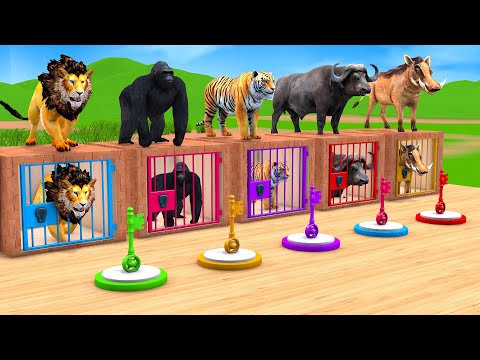 Gorilla Tiger Lion Elephant Buffalo Pig Guess The Right Key ESCAPE ROOM CHALLENGE Animals Cage Game