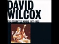 David Wilcox   Downtown Came Uptown
