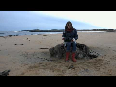 Alex Wade - English Concertina @ Low Newton by the Sea