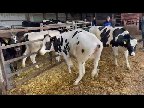 z423 426 428 6 total