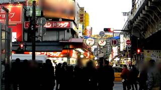 preview picture of video 'Japan Trip 2013 Tokyo Ameyoko Uechun Okachimachi Station 23'