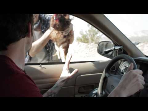 Border Brothers- Rooster Clip