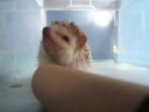 Someone's Watching You