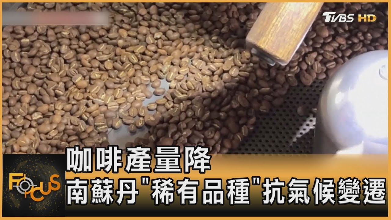 咖啡產量降!澳洲拚自產 南蘇丹稀有品種抗氣候變遷